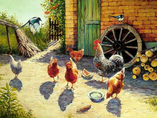Puzzle - Regaturl cocosului – 50x70cm – 1000 piese
