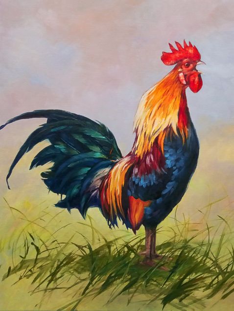 Pictura pe numere – Cocos, 30x40cm