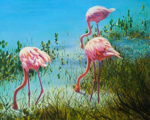 Pictura pe numere – Roz, 40x50cm