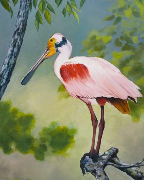 Pictura pe numere – Lopatarul roz,- 40x50cm