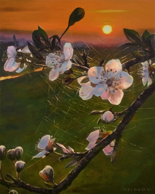 Pictura de numere – Dispozitie de primavara, 40x50cm