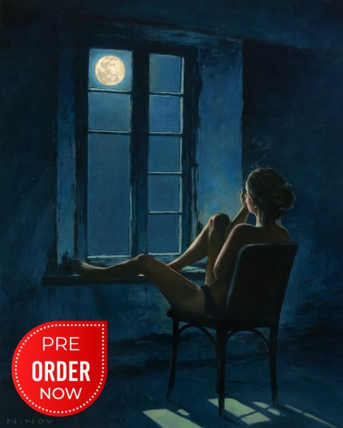 Pictura pe numere – In tacerea noptii, 40x50cm