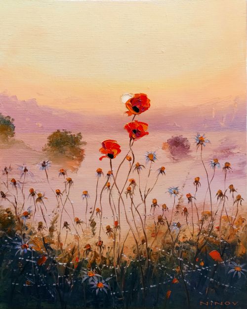 Pictura pe numere – Macii, 40x50cm