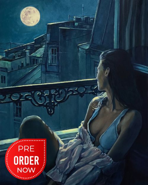 Pictura pe numere – Luna de fluturi, 40x50cm
