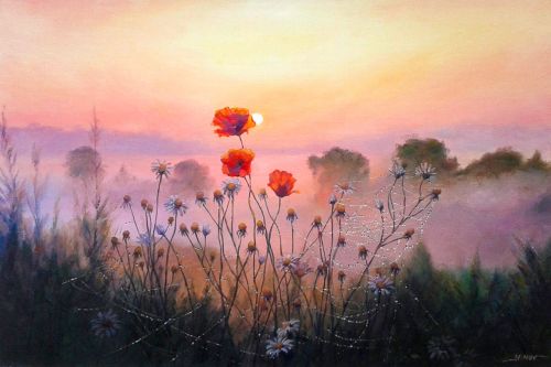 Pictura pe numere – Dimineata de iulie, 40x60cm