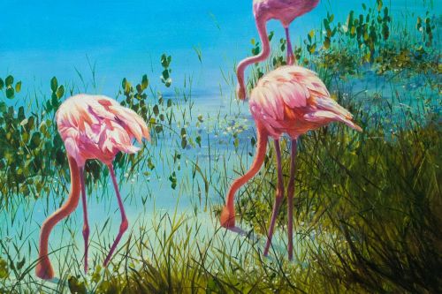 Pictura pe numere – Roz, 40x60cm