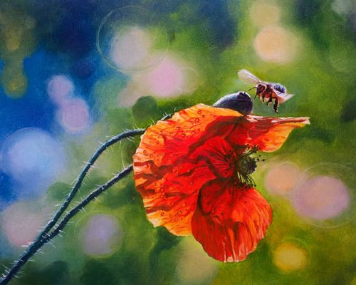 Pictura pe numere – Zbor, 40x50cm