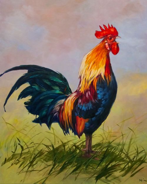 Pictura pe numere – Cocos, 40x50cm