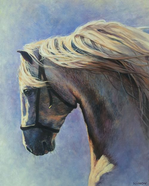 Pictura pe numere – Smerenie, 40x50cm