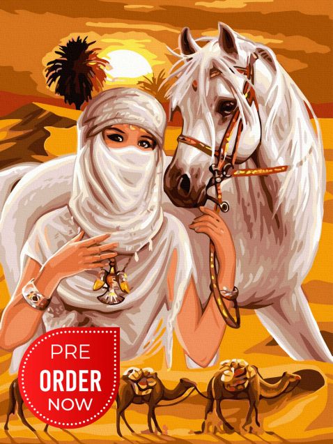 Pictura pe numere – Frumusete araba, 30x40cm